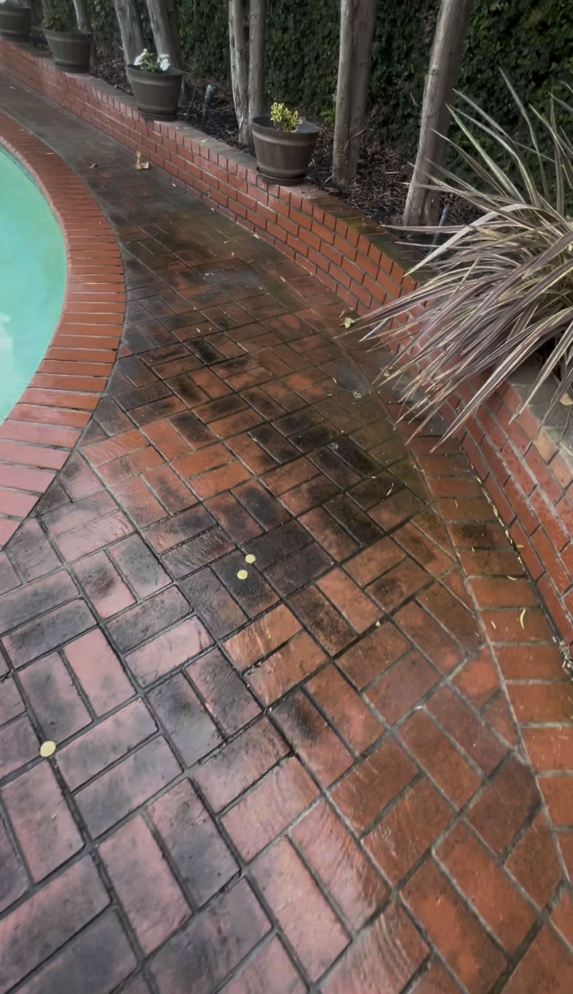 Before Cleaning Result