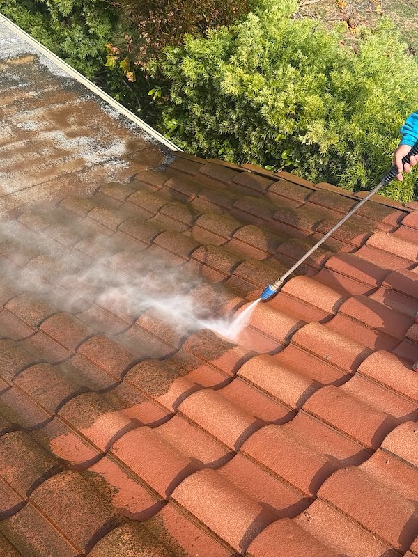 Roof Cleaning